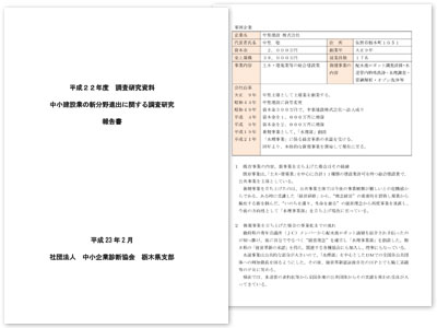 平成２２年度 中小建設業の新分野進出に関する調査研究